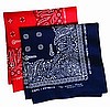STOCK #10 BANDANA 